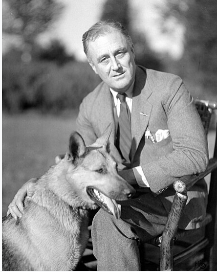 87% of Presidents Had Dogs —But These Six Didn’t! See the Full List of White House Dogs!